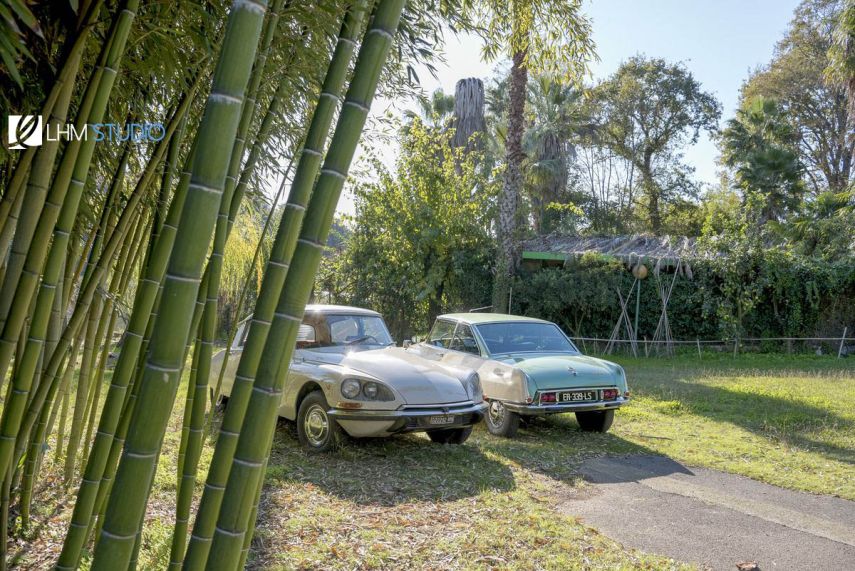 Una domenica a Sabaudia in Citroën d'epoca